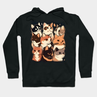 All I Need Is This Cat Funny Cat Lover Hoodie